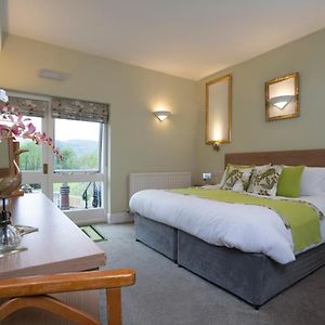 Superior Double or Twin Room Mountain View